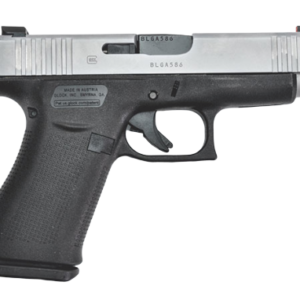 glock 48 picture