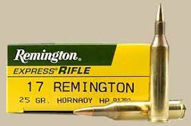 17 REMINGTON PICTURE